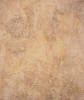 Click to see details of this faux finish sample